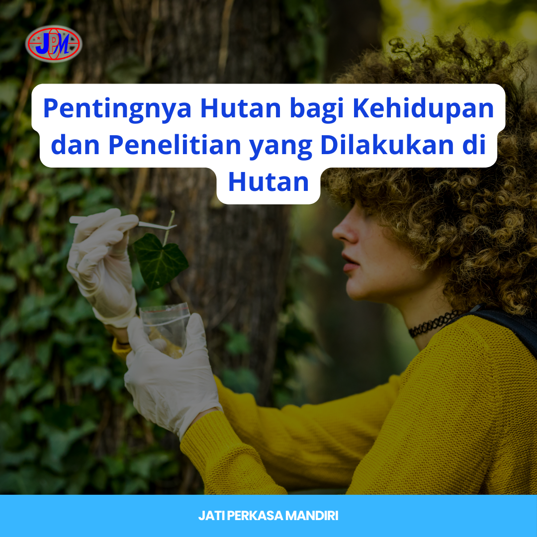 Pentingnya Hutan bagi Kehidupan dan Penelitian yang Dilakukan di Hutan