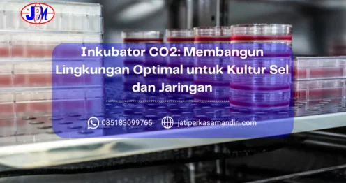 Inkubator CO2 Membangun Lingkungan Optimal untuk Kultur Sel dan Jaringan