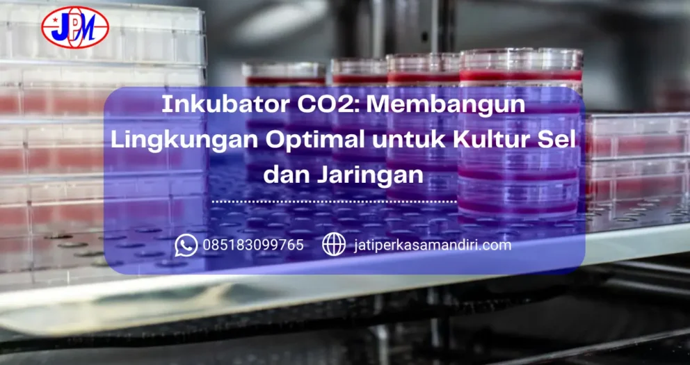 Inkubator CO2 Membangun Lingkungan Optimal untuk Kultur Sel dan Jaringan