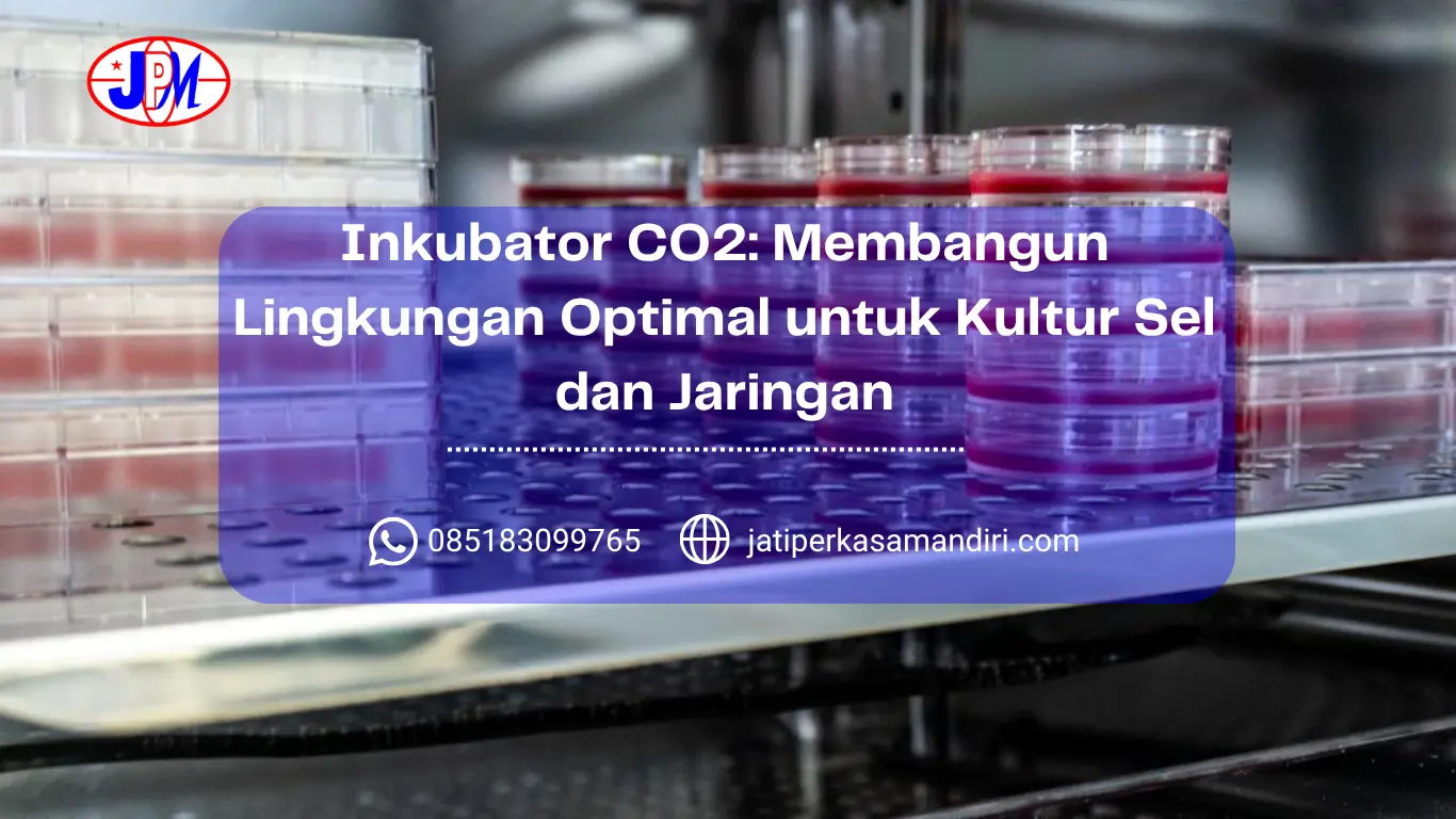 Inkubator CO2 Membangun Lingkungan Optimal untuk Kultur Sel dan Jaringan